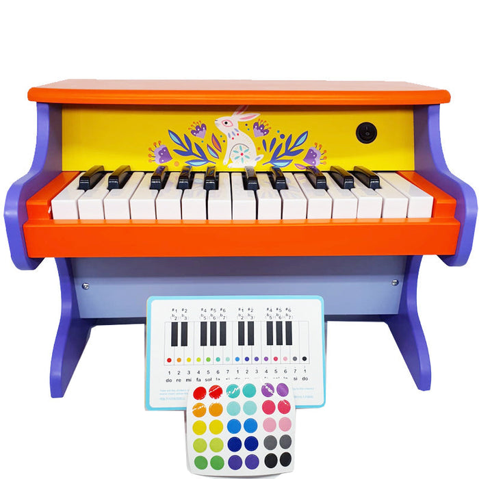 MiDeer Kids Musical Toy 25 Keys Digital Piano, Learn to Play Piano